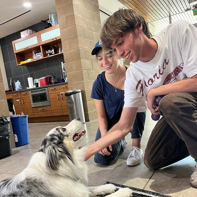 WhatsApp-Image-2025-08-26-at-15.59.05_ae1bf9b5